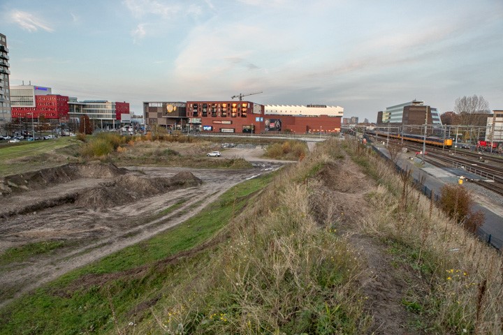 Bij Ruis 1 Jeroen 4.jpg