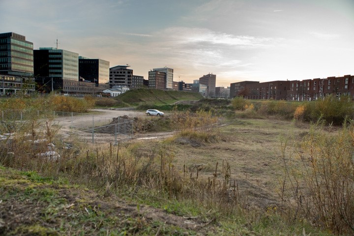 Bij Ruis 1 Jeroen.jpg